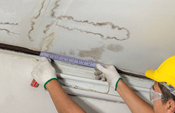 Reliable Water Damage contractor in Zeeland, MI by Water Damage Irwin